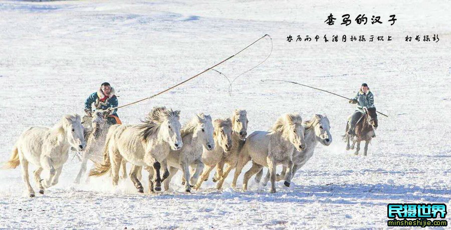 元旦坝上摄影团-坝上雪中跑马摄影团活动花絮