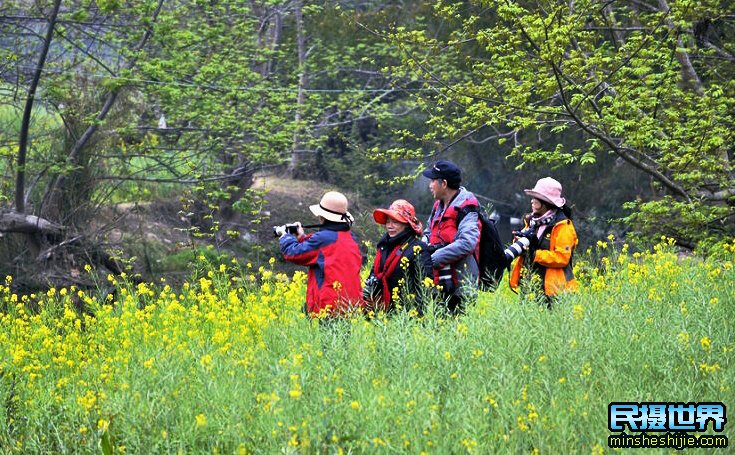 云南摄影团元阳罗平红土地采风活动花絮