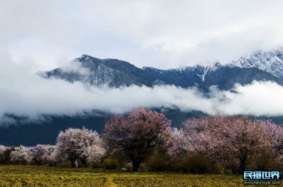 6月318川藏摄影团-色达-丹巴-新都桥-梅里雪山-波密-林芝-西藏摄影团