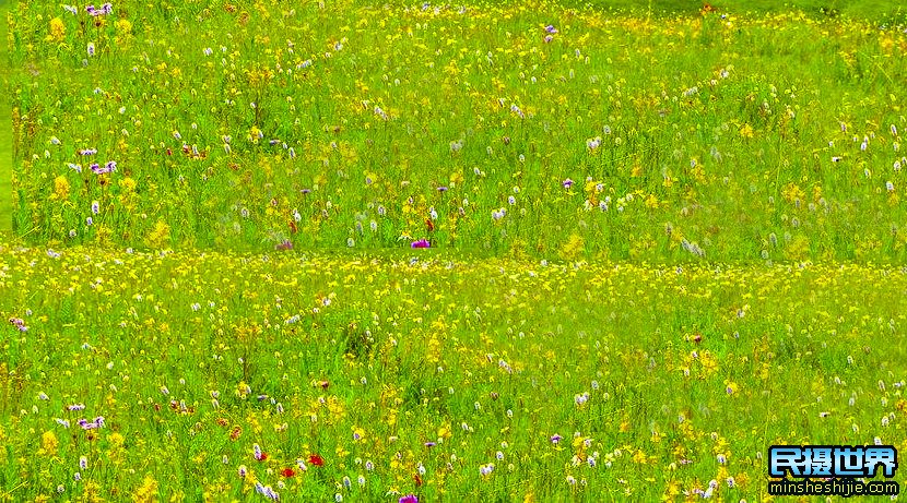 6月318川藏摄影团-色达-丹巴-新都桥-梅里雪山-波密-林芝-西藏摄影团