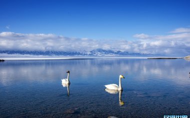 新疆赛里木湖简介 揭开赛里木湖的神秘面纱