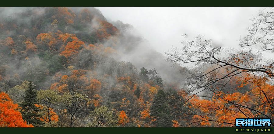 光雾山秋色摄影团-含十八月潭|天然画廊|中江挂面|阆中古城摄影团