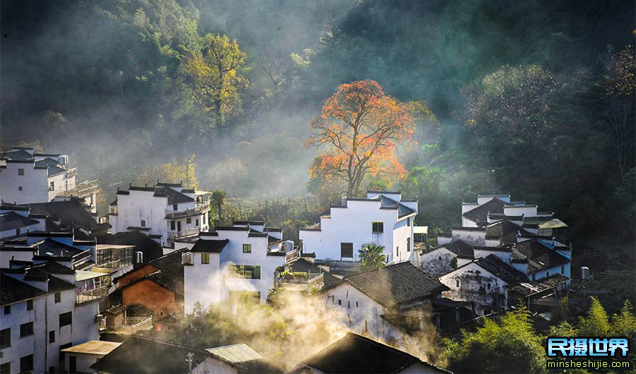 婺源摄影团一次婺源红叶摄影团