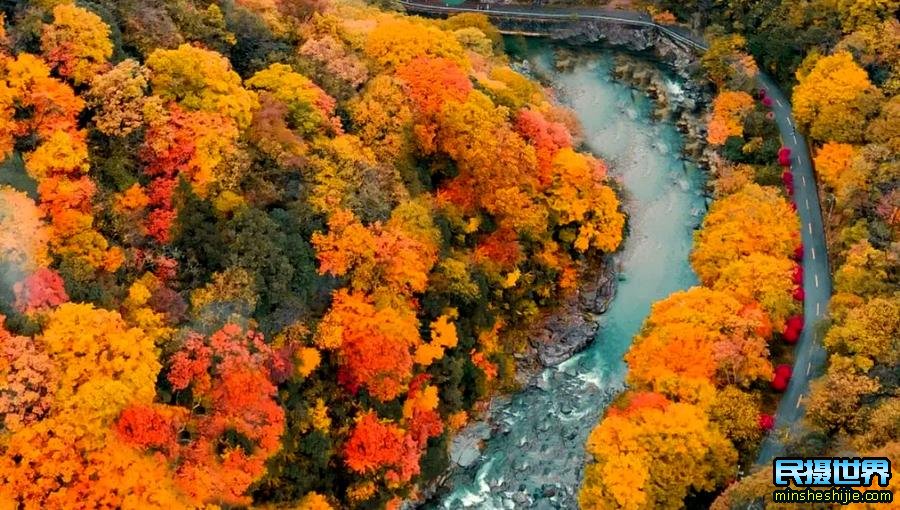 四川光雾山好玩吗？适合老年人去吗？最佳摄影旅游时间是什么时候？