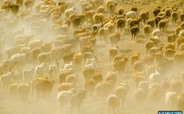 北疆秋色，摄影人的梦幻之旅：九月新疆秋天摄影团