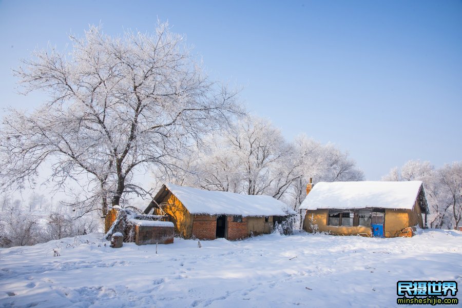 最美雪乡雾凇岛摄影团