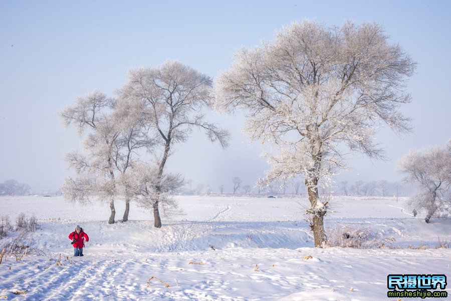 最美雪乡雾凇岛摄影团