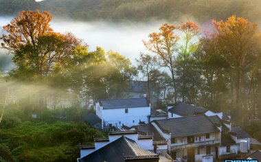 “醉” 美深秋：11月婺源摄影团 — 用镜头镌刻时光之影