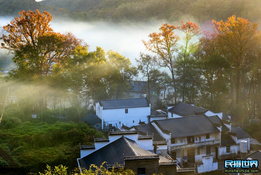 11月婺源摄影团